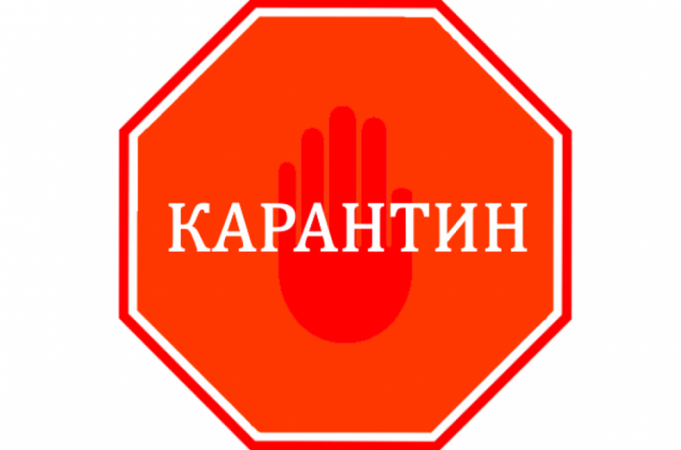 Внимание КАРАНТИН!.